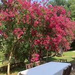 Le Colombié Superbe Maison En Pierre Rénovée * Gagnac-sur-Cere