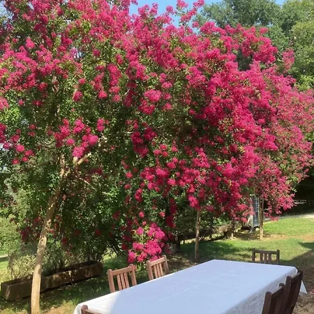 Le Colombie Superbe Maison En Pierre Renovee * Gagnac-sur-Cere