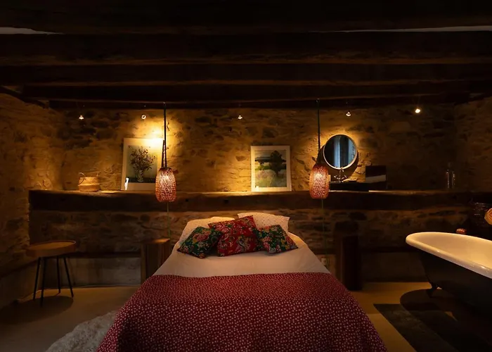 Hébergement de vacances Le Colombie Superbe Maison En Pierre Renovee Gagnac-sur-Cere